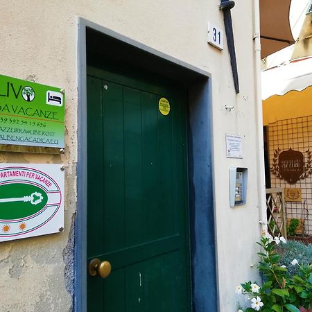 Casa Vacanza L'Ulivo アルベンガ エクステリア 写真